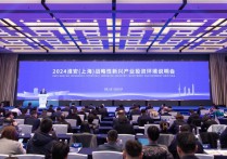 2024淮安(上海)战略性新兴产业投资环境说明会举行：44个项目签约协议引资额4293亿元